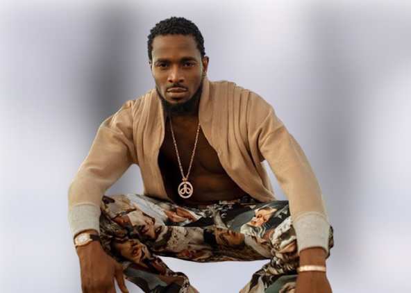 Watch As A Female Fan Rubs D’banj’s Private Part On Stage