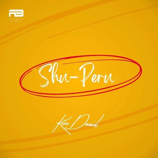 Kizz Daniel Drops New Banger, ‘Shu-Peru’ (Listen)